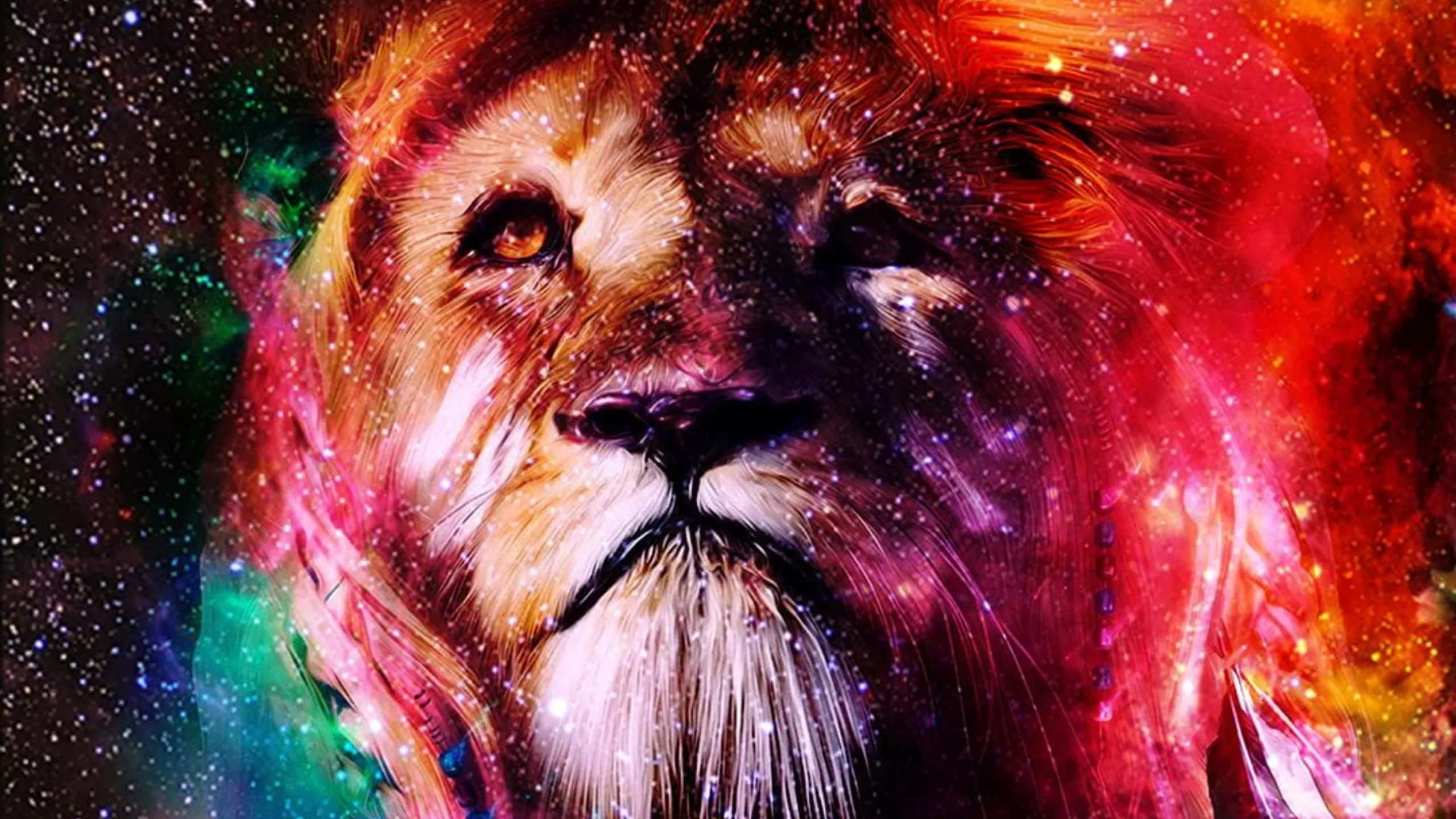 CDN ile optimize edilmiş görsel