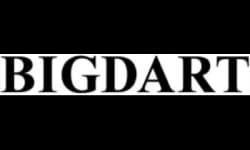 Big Dart logosu - Foxs Digital referans