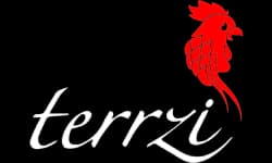 Terrzi logosu - Foxs Digital referans